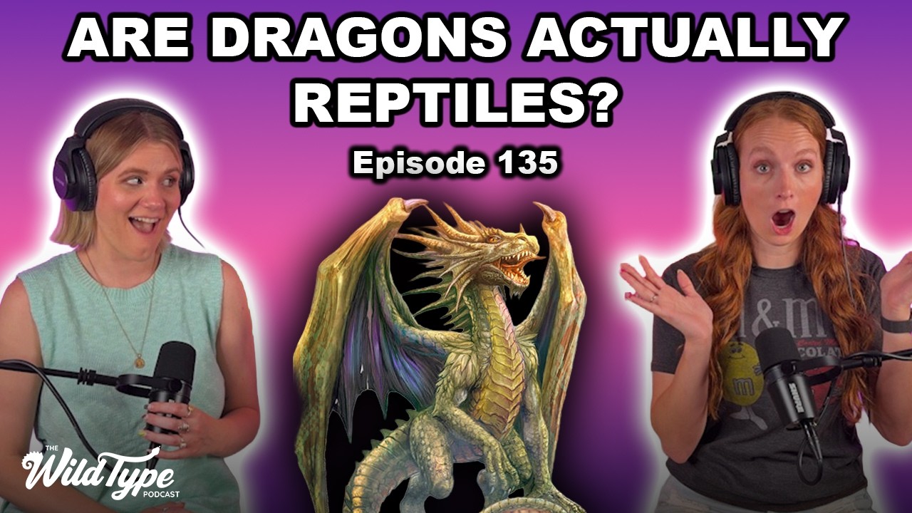What mythical creatures are related to reptiles? | Episode 135
