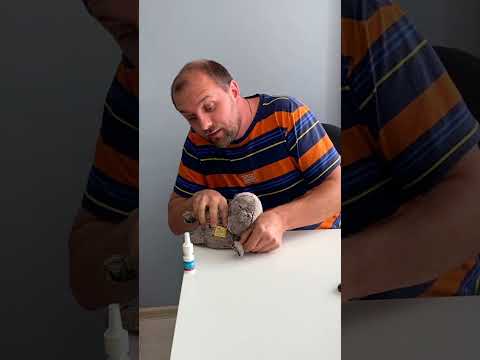 Dad and the Bad cat 🤣 #shorts by Andi like