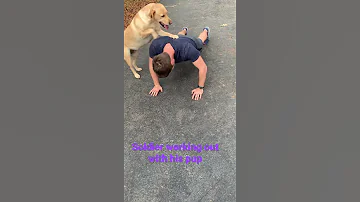 Push Ups Soldier Works Out With His Dog 