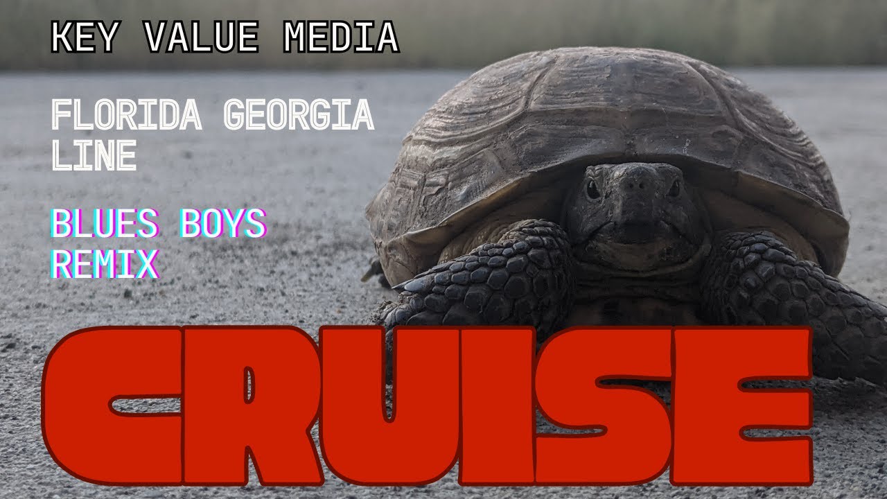 Florida Georgia Line - Cruise (Blues Boys remix)