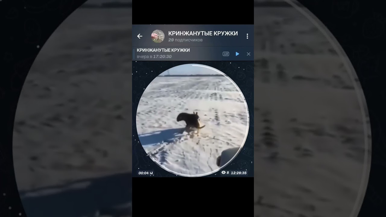 ТГК-fafutoo (ссылка в профиле) 