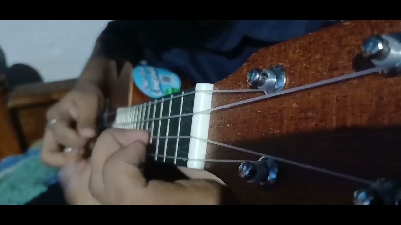 Tere Bina Zindagi Se — Soulful Ukulele Tribute | Old Hindi Classic 