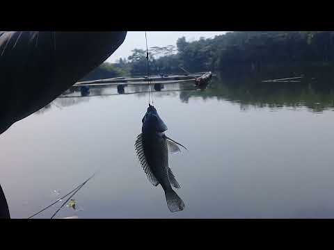 mancing liar itu .... bebas