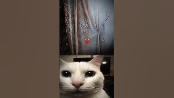 he seemed to be reading a newspaper 😹#shortvideo #memes #react #cat #funny