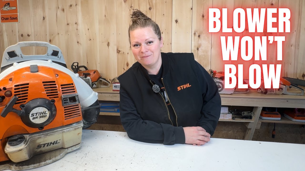 The Silent Killer:  Ethanol and Water Damaged 2 Strokes  |  Stihl BR350 Backpack Blower