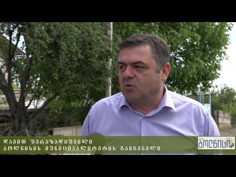 დავით შერაზადიშვილმა სოფელ დისველში სტიქიის შედეგად დაზიანებული მიწის სავარგულები მოინახულა