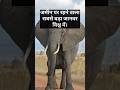 दुनिया का सबसे बड़ा जमीन पर रहने वाला जानवर || विश्व की सबसे बड़ी मूर्ति || #facts #gkquiz #short#gk