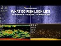 What Do Fish Look Like On Different Sonar Technologies Humminbird What Do Fish Look Like On Different Sonar Technologies Humminbird