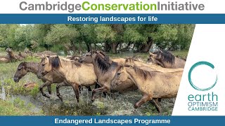 Restoring landscapes for life - Endangered Landscape Programme