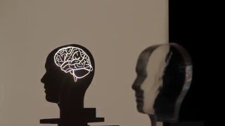 Caustics - Head Brain V2 - Turntable