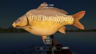 Russian Fishing 4 Amber Lake Trophy Linear Carp