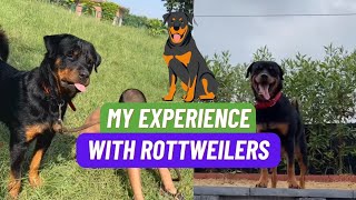 My Real Experience With Rottweilers || Dog Breed by The Ultimate Channel 775 views 1 month ago 2 minutes, 12 seconds