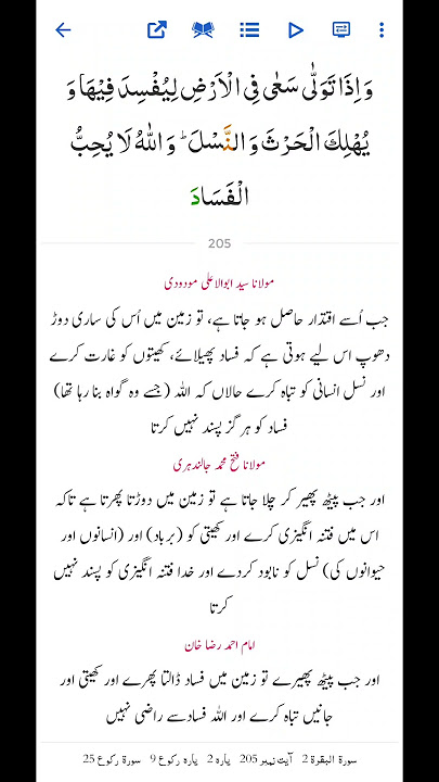 Surah Al Baqarah | Ayat-205  #quranictranslation