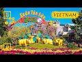 Walking in Vietnam. Cam Ranh city walk after Tết (Lunar New Year). Binaural Audio. [4K walking tour]