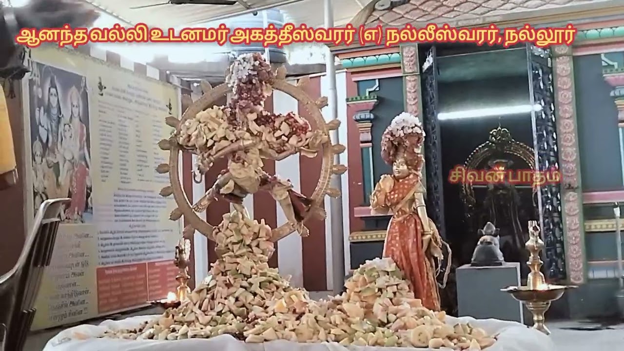 மாசி சதுர்த்தசி நடராஜர் அபிஷேகம் 01/03/2026