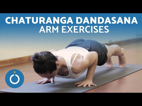 Four-Limbed Staff Pose (Chaturanga Dandasana) Dimensions & Drawings