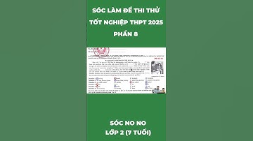 Giải thích câu 1 trong đề thi thử tốt nghiệp THPT 2025 bằng tiếng Việt