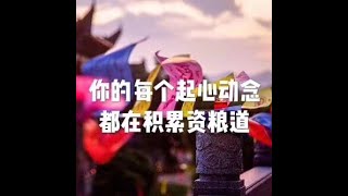 201804 你的每个起心动念都在积累资粮道20794