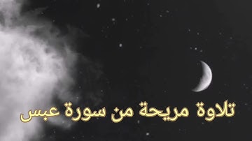 تلاوة مريحة من سورة عبس 🎧🖤