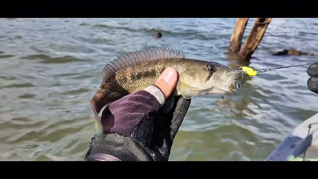 PRECISAMOS MUDAR DE PESQUEIRO MAS O PEIXE SAIU 