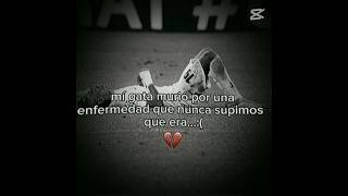 Q.E.P Chavela😢#viral #tristeza #futbol #barca #viralshorts