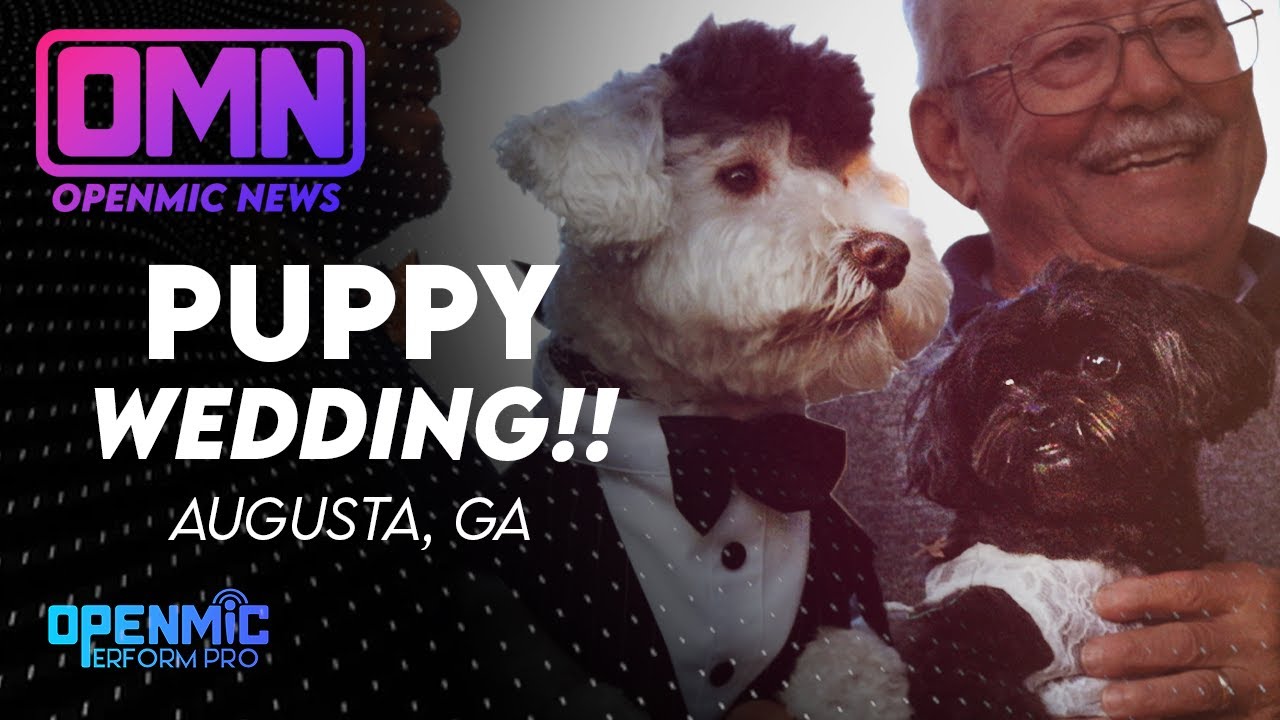 Puppy Wedding - Augusta, GA | OMN | OpenMic Perform Pro