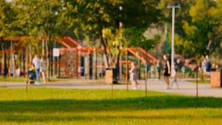 Local Journalism: Where Change Begins in Our Communities