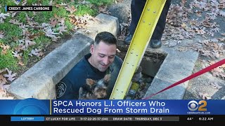 SPCA Honors Long Island Officers Who Rescued Dog From Storm Drain