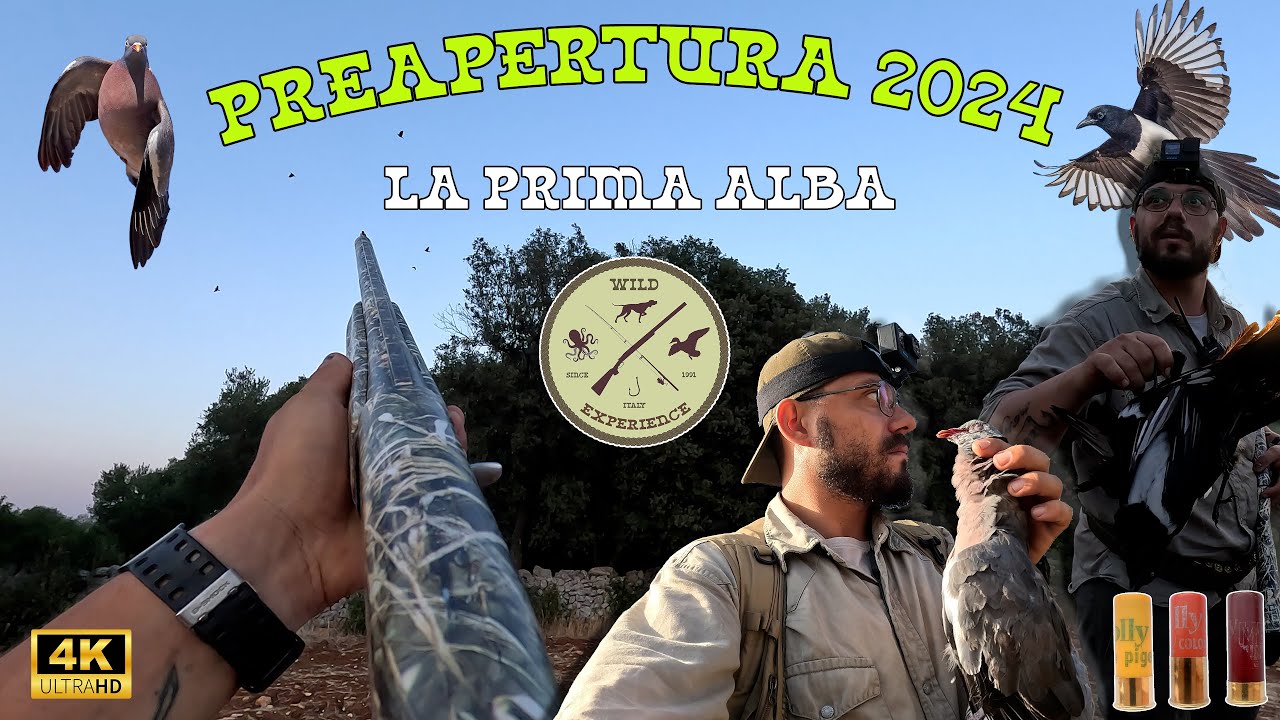 PREAPERTURA 2024 PUGLIA - LA  MIA PRIMA ALBA - CACCIA AL COLOMBACCIO - UCCELLI NOCIVI - 4K - GOPRO