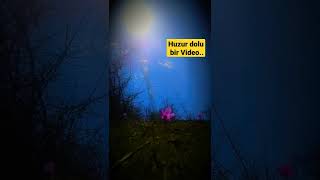 Huzur Dolu Bir .. Iyaman Örtüböcek