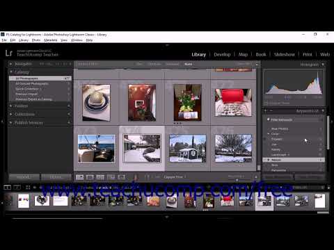 Lightroom Classic CC Tutorial Finding Photos by Keyword Tags Adobe Training