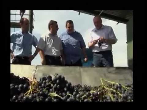 სოფლის მეურნეობის მინისტრი კახეთში