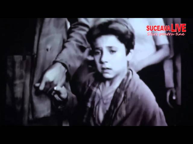 Prezentarea artistica Toamna la Voronet