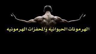 أخطار سوء إستخدام الهرمونات الحيوانيه والمحفزات الهرمونيه