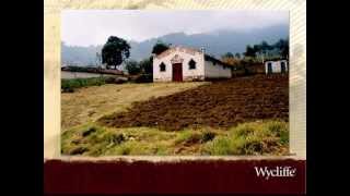 Reed WBT Partnership Video