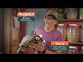 Welcome to Animal Wonders Montana!