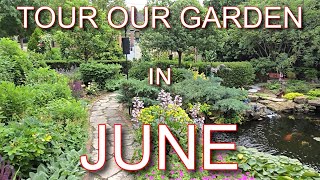 Garden Tour June 2025 | Zone 5b Backyard Tour of Roses, Hostas & Ponds
