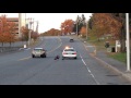Wild turkeys receive Worcester Police escort