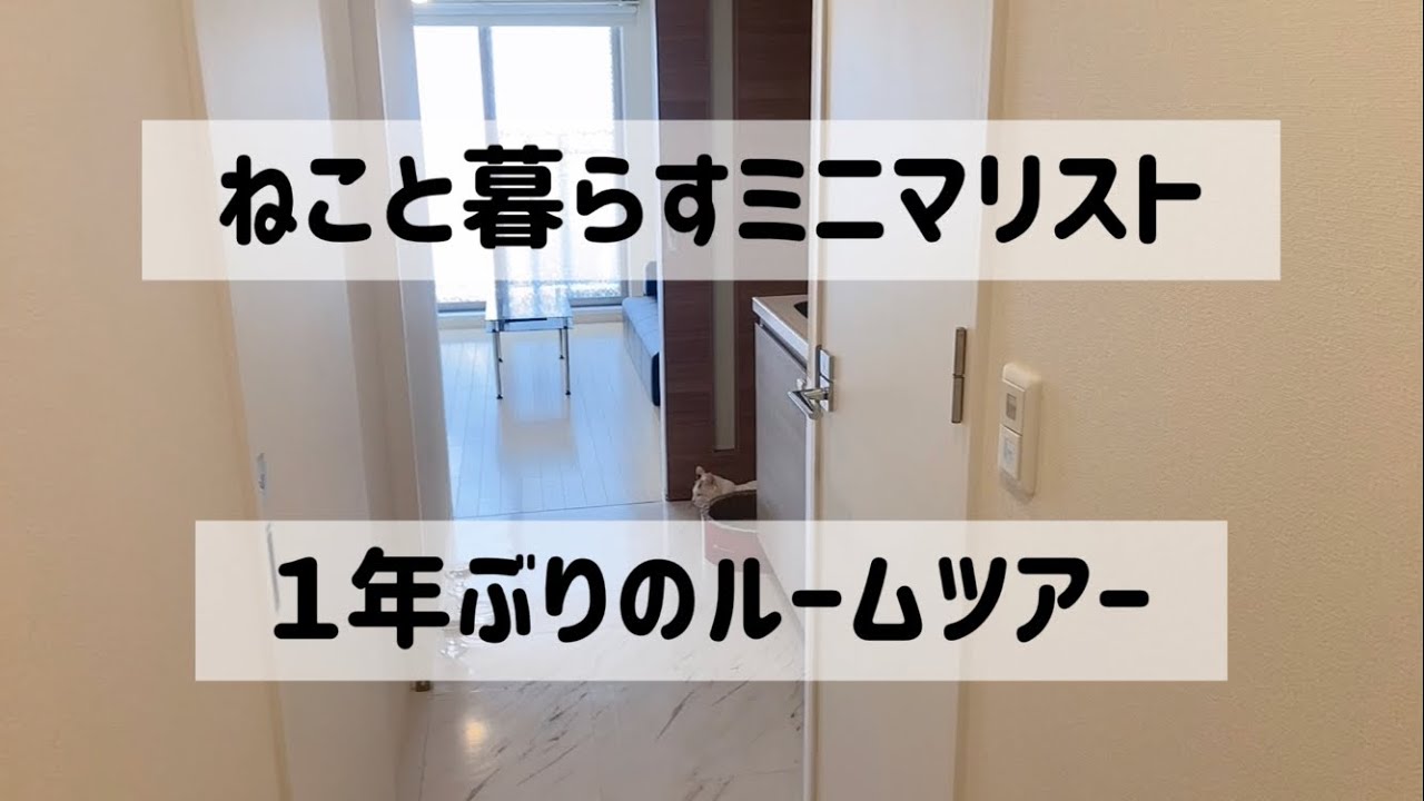 【完成版】ねこと暮らすミニマリストのルームツアー🐱