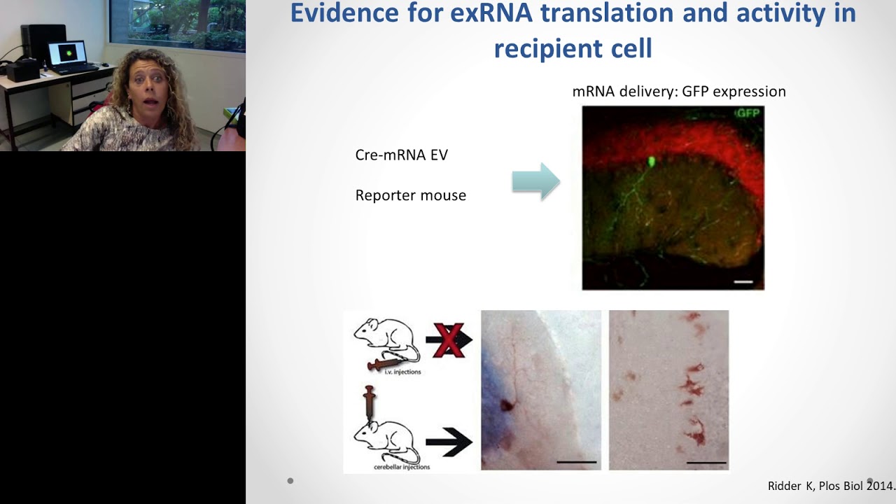 Keynote Presentation: Extracellular vesicles in Regenerative Medicine