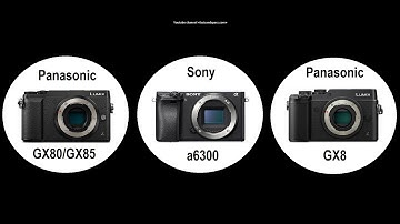 Panasonic GX80/GX85 vs Sony α6300 vs Panasonic GX8