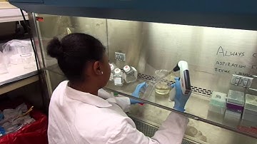 Pipette Welcome