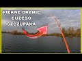 TO BYŁ MONSTER SZCZUPAK! PODWÓJNY ATAK Z GŁEBINY !