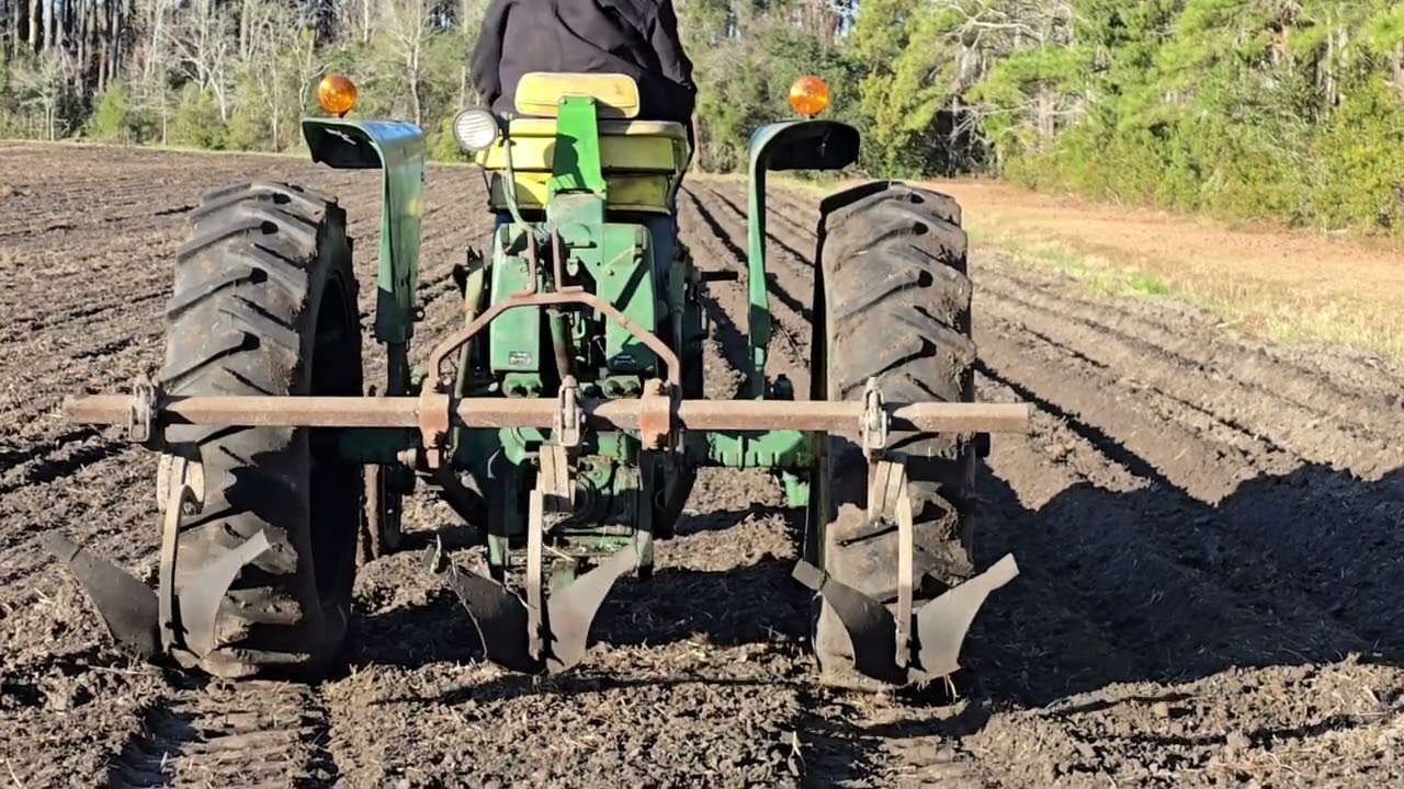 How to plant potatoes from start to finish with the 47 Model A and 60s eara McConell planter!!