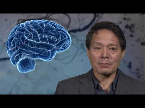 Video: Proteomanalyse Av Synaptisk Proteinomsetning I Fremre Cingulate Cortex Etter Nerveskade