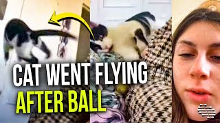 Girl Throws Balls Not Expecting Cat to Follow but It Almost Went Flying After It