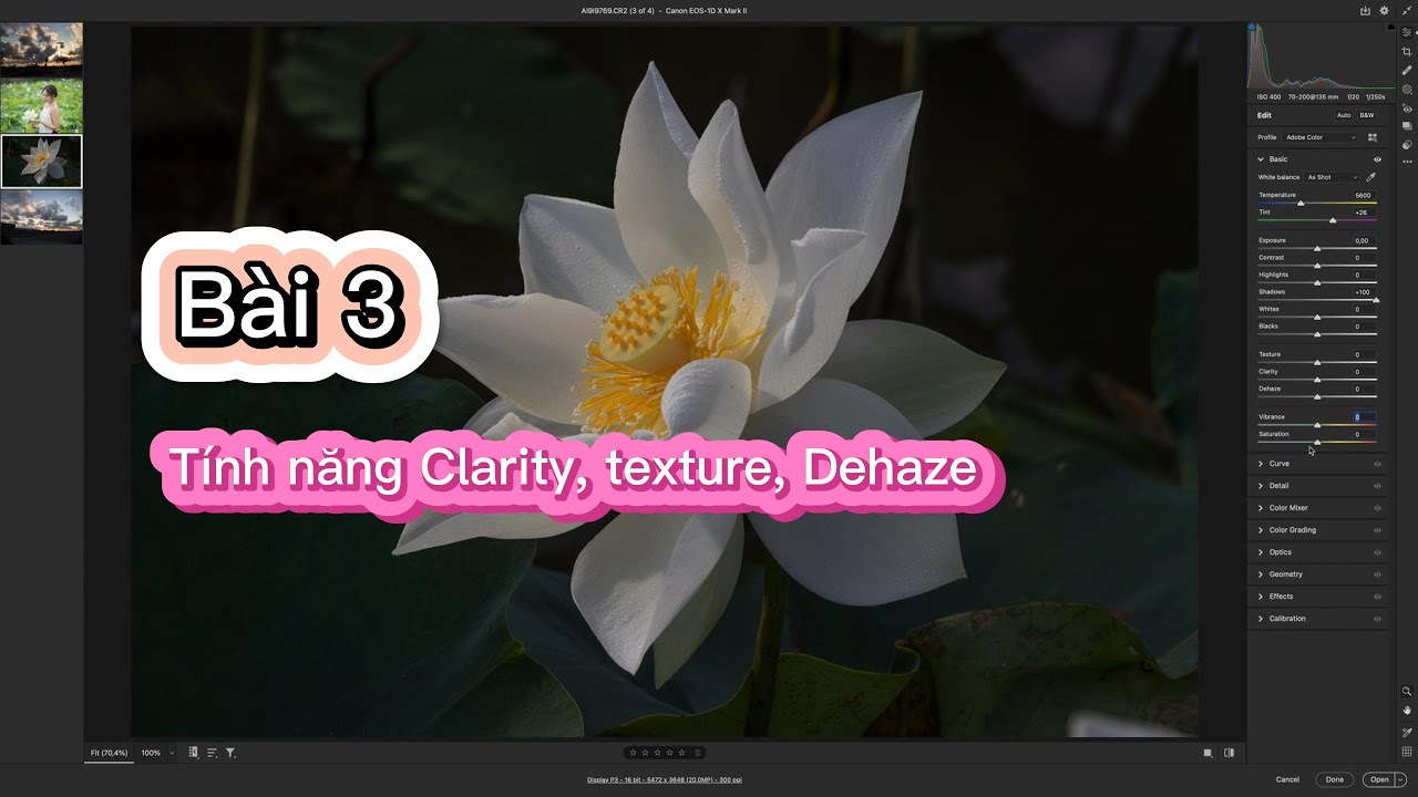 Bài 3 Clarity Dehaze Texutre Camera Raw Trần Gia Studio Camera raw