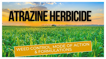Atrazine Herbicide: Effective Weed Control for Agriculture | Mode of Action & Formulations