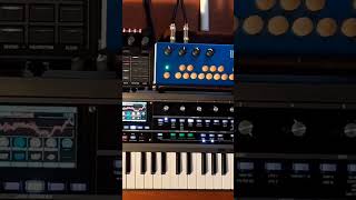 #microkorg2 #organelle #sq64