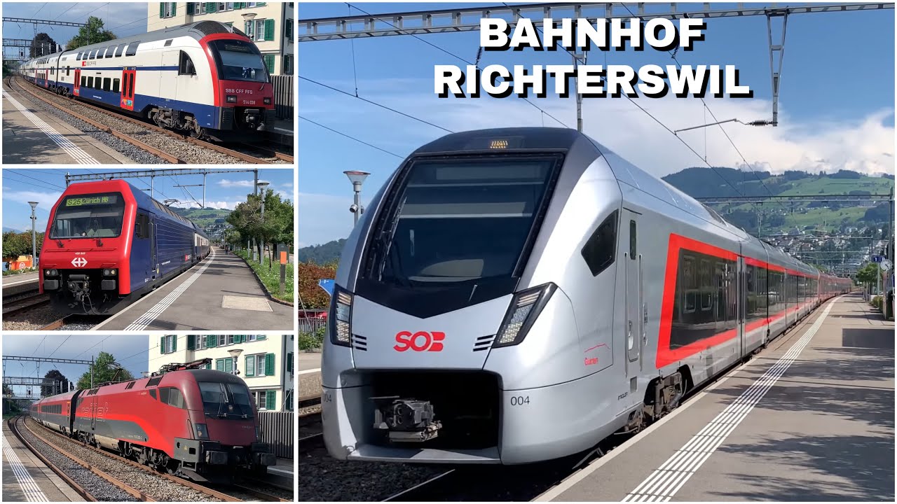 Züge beim Bahnhof Richterswil | Trains at Richterswil station (2024)